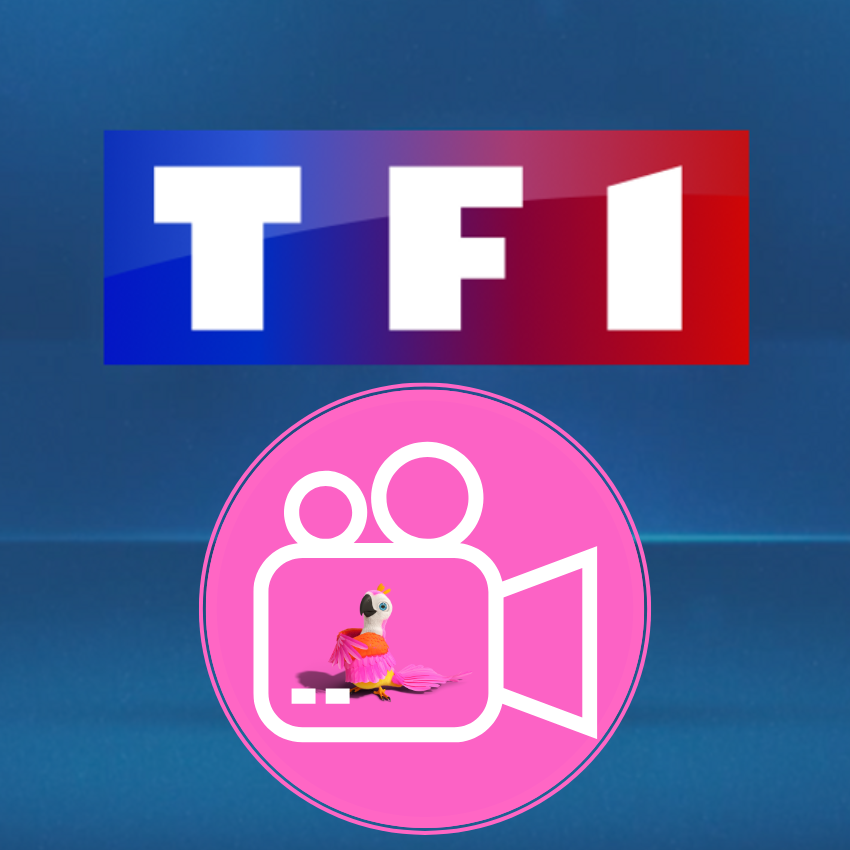 L'agence Mikit Libourne représente fièrement le prêt à finir sur TF1