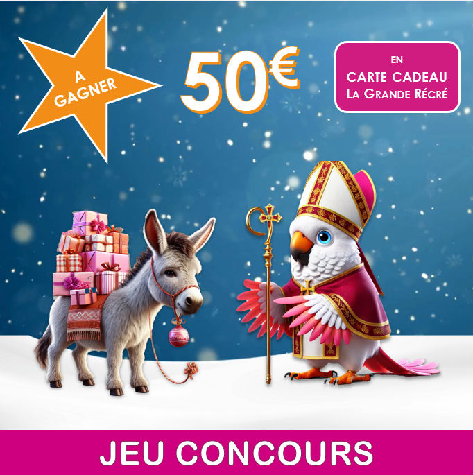 50 € à gagner au jeu-concours de la Saint-Nicolas organisé par votre agence Mikit Marlenheim (Bas-Rhin)